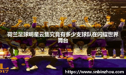 荷兰足球明星云集究竟有多少支球队在闪耀世界舞台