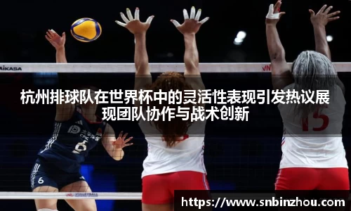杭州排球队在世界杯中的灵活性表现引发热议展现团队协作与战术创新